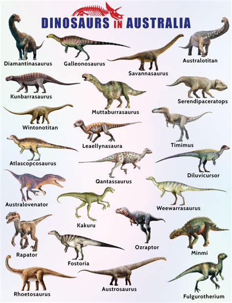 Australian Dinosaurs