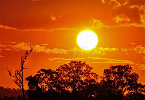 Australian Outback Heat