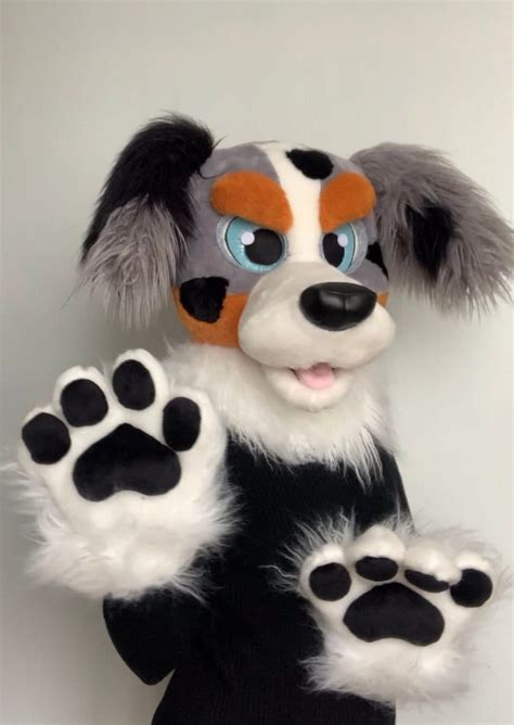 Australian Shepherd Fursuit