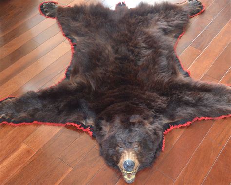 The Ultimate Symbol of Wilderness Elegance: Unleashing the Spellbinding Allure of an Authentic Bear Skin Rug