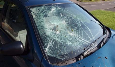Auto Glass Damage Spokane Valley