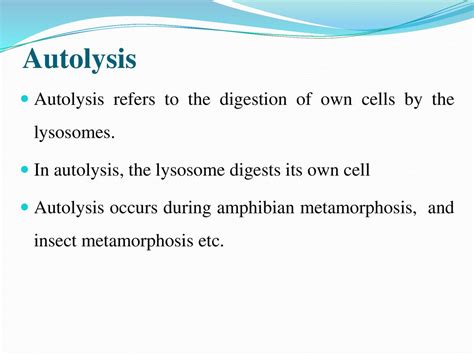 Autolysis Animal Tissue