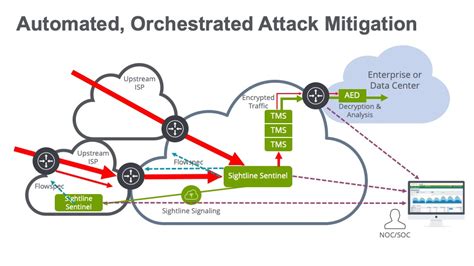 Automated DDoS detection and mitigation