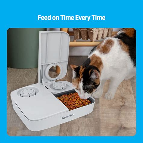 Never Let Your Pup Go Hungry: Discover the Convenience of an Automatic Dog Feeder on Timer