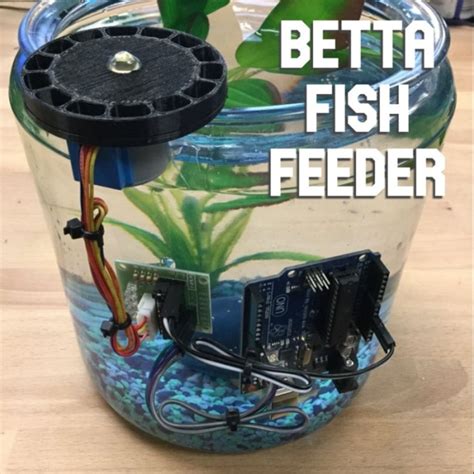 Automatic Feeder For Betta Fish