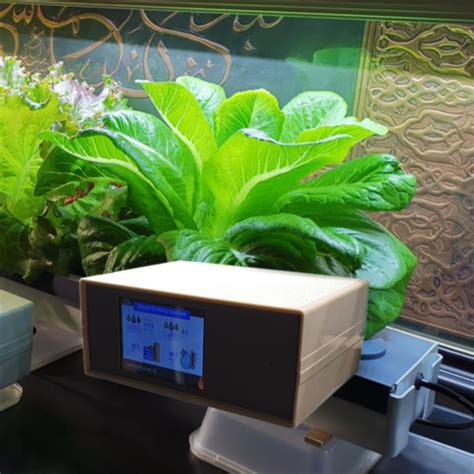 Otomatisasi Sistem Hidroponik dengan IoT