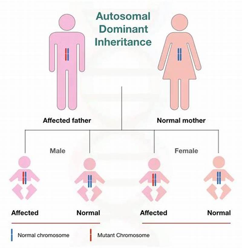 Autosomal Inheritance Pattern