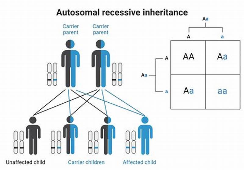 Autosomal Recessive Inheritance Pattern