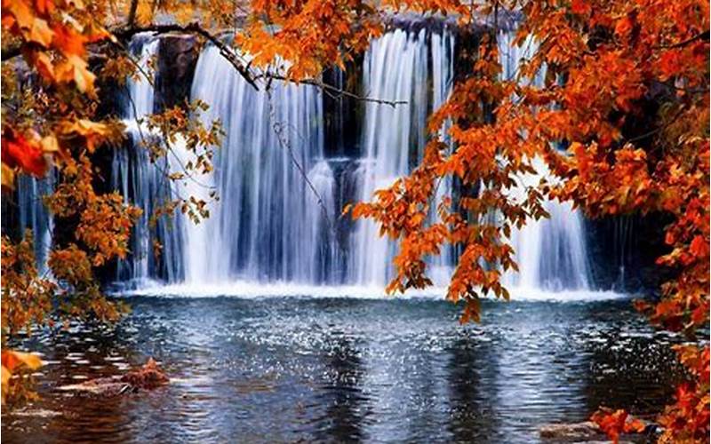 Autumn Falls Background