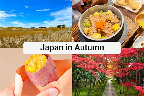 Autumn Culinary Japan