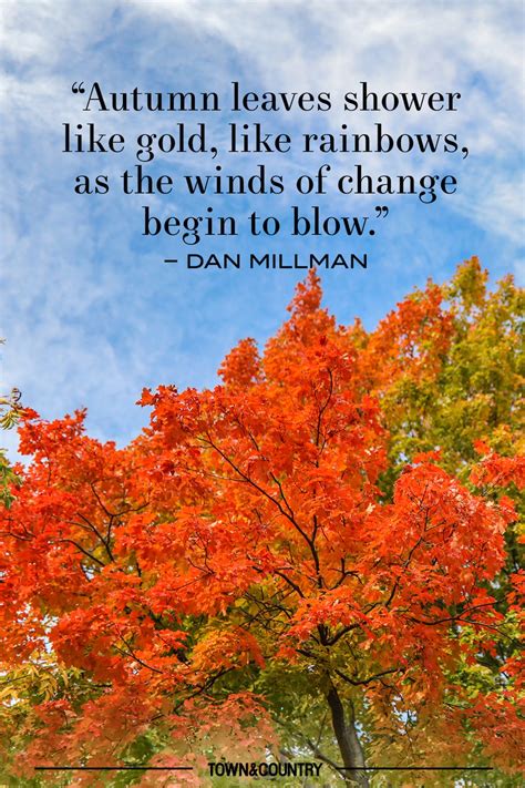 Autumn Encouragement Quotes