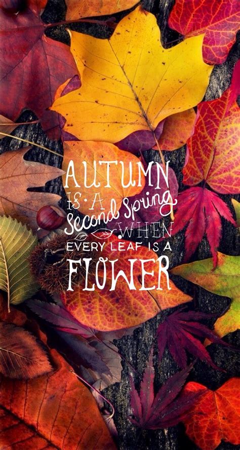 Autumn Quotes Facebook Covers