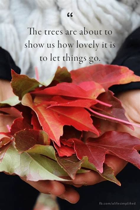 Autumn Quotes Let Things Go
