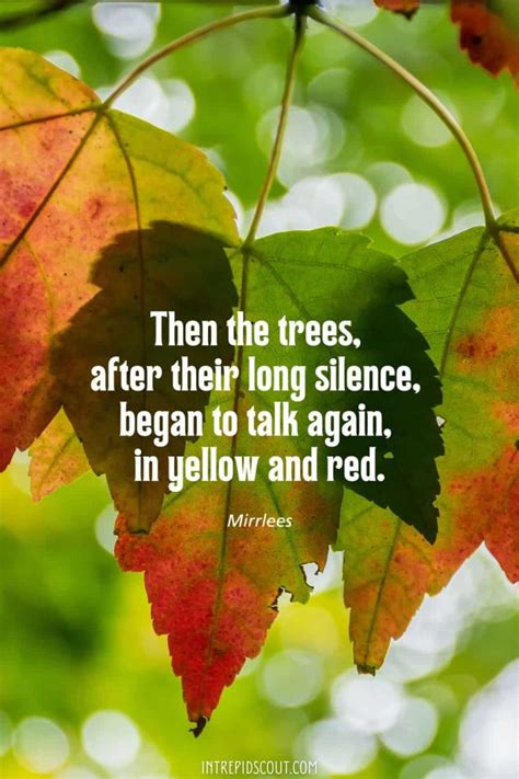 Autumn Red Leaves Quotes