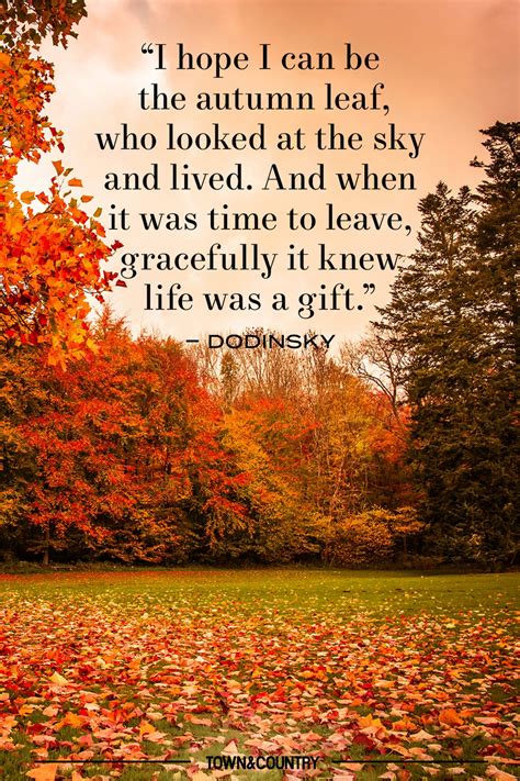 Autumn Reflection Quotes