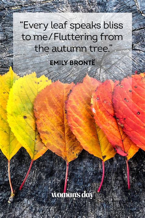 Autumn To Winter Quotes