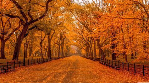 Autumn landscapes