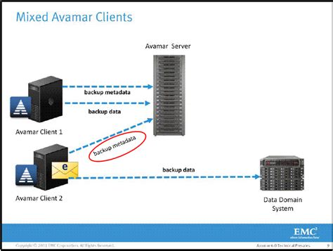 Avamar Data Domain