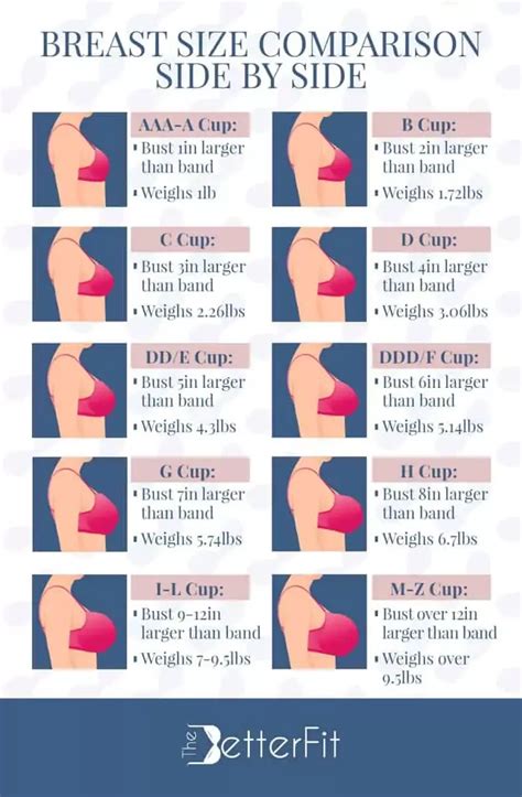 Avanicks Boobs Size Guide: Know Your Fit