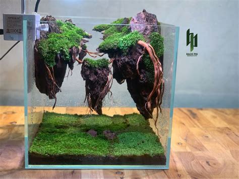 Transform Your Aquarium with Avatar-Inspired Fish Tank Decorations