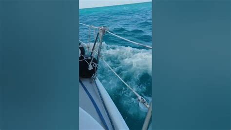 Average Day Sailing