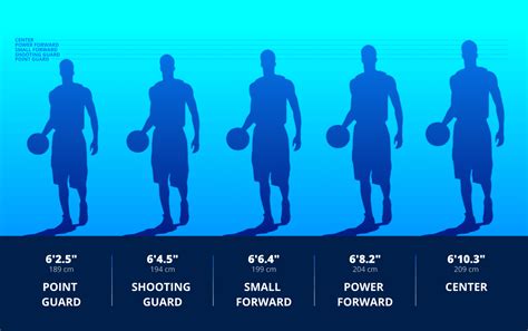Discover the Average Height of NBA Stars with our Guide