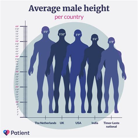 Average Height Of Men