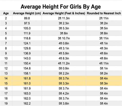 Average High For A Woman