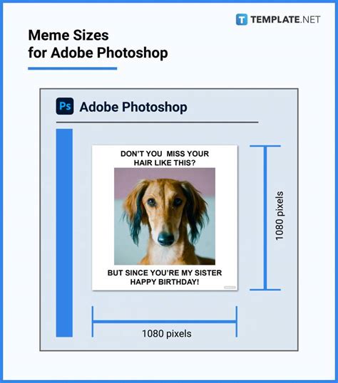 Average Meme File Size Vs Resolution Guide