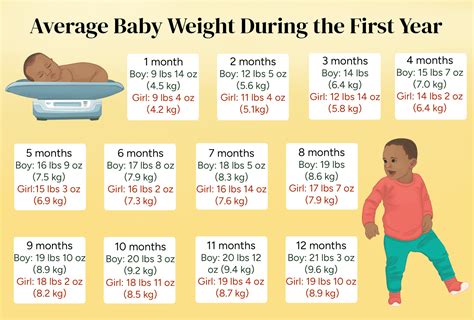 The Golden Mean: Unlocking the Mystery of the Ideal Average Weight for Your 7-Month-Old Baby