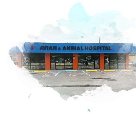Avian And Animal Hospital Largo Florida