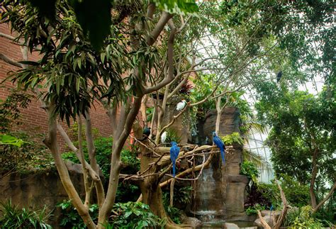 Aviary habitats