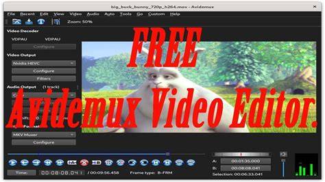 Avidemux video editor
