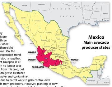 Map Avocado Imports From Mexico Sounding Maps