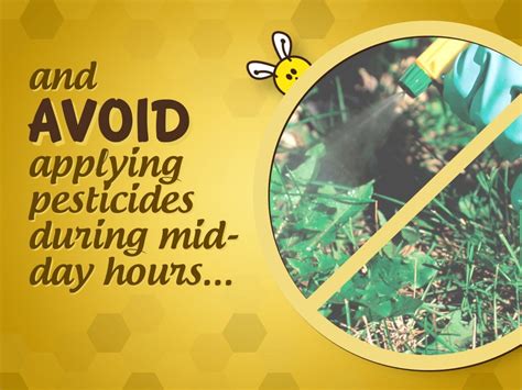 Avoid using pesticides harmful to hummingbirds