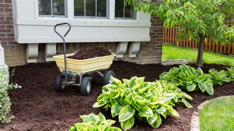 Avoiding problems with mulching