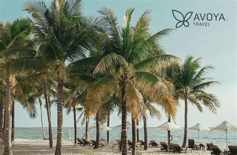 Avoya Travel Academy