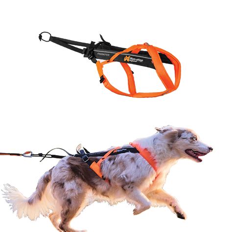 Awesome Best Harness For Dogs That Pull