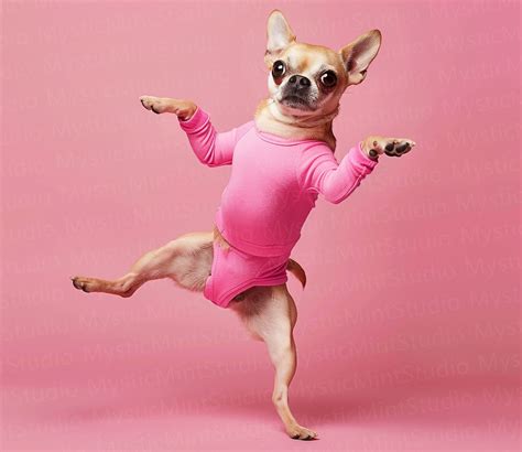 Awesome Dancing Dogs