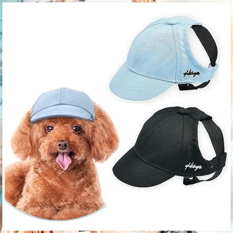 Awesome Dogs In Hats