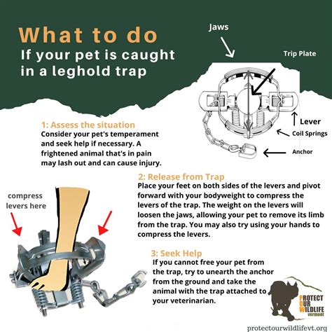 Awesome Protect Dogs Trapping