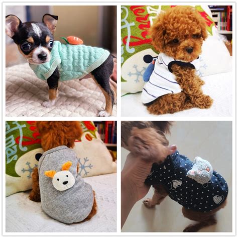 Awesome Teacup Dogs Clothes