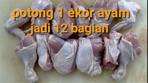 Ayam Potong Harga 1 Ekor