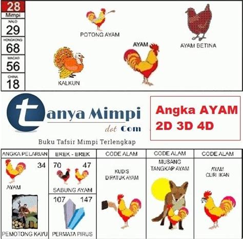 Manfaat Konsumsi Ayam Togel untuk Kesehatan di Indonesia