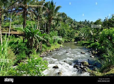 Ayung River Ubud