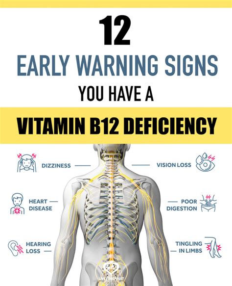 B12 Deficiency: Spot the Warning Signs.