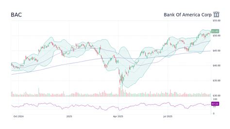 BAC stock price Financial Performance