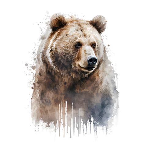 BIG IMAGE (PNG)