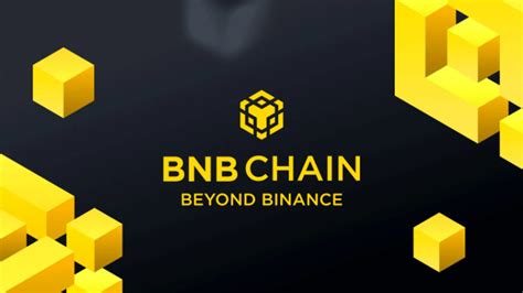 BNB: A Utility Token Empowering the Binance Ecosystem