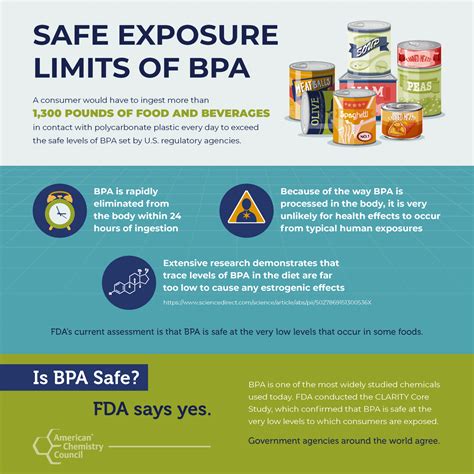 BPA: Risks & Safe Alternatives Explained